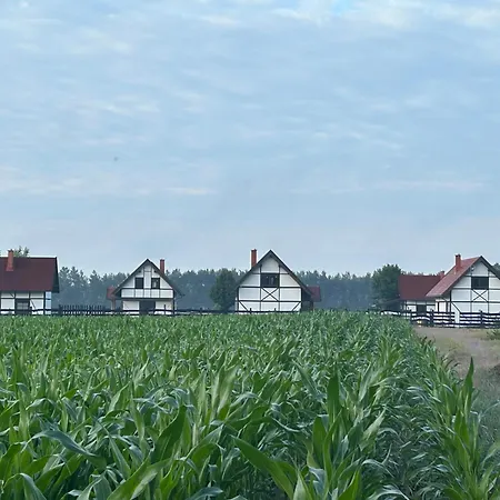 Klinwdzydze Tatil Evi Wdzydze Tucholskie