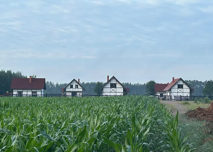 Klinwdzydze Dom wakacyjny Wdzydze Tucholskie